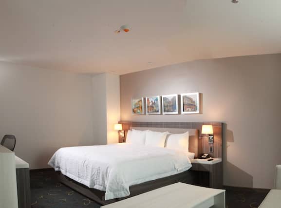 Hampton Inn and Suites by Hilton Aguascalientes - Image3