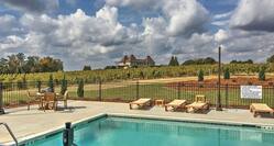 Outdoor Pool with Vineyard Views