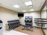 Fitness Center with Weights and HDTV