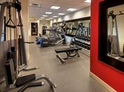 Gym with treadmills, weights, and other equipment.