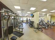 Fitness Center with Weight Bench, Dumbbell Rack and Weight Machines