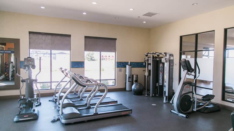 Fitness Room With Windows, Treadmills, Cross Trainers, and Exercise Ball 