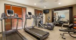 Fitness Center With Cardio Equipment Facing Windows, TV, Large Mirror, Weight Balls, and Weight Bench