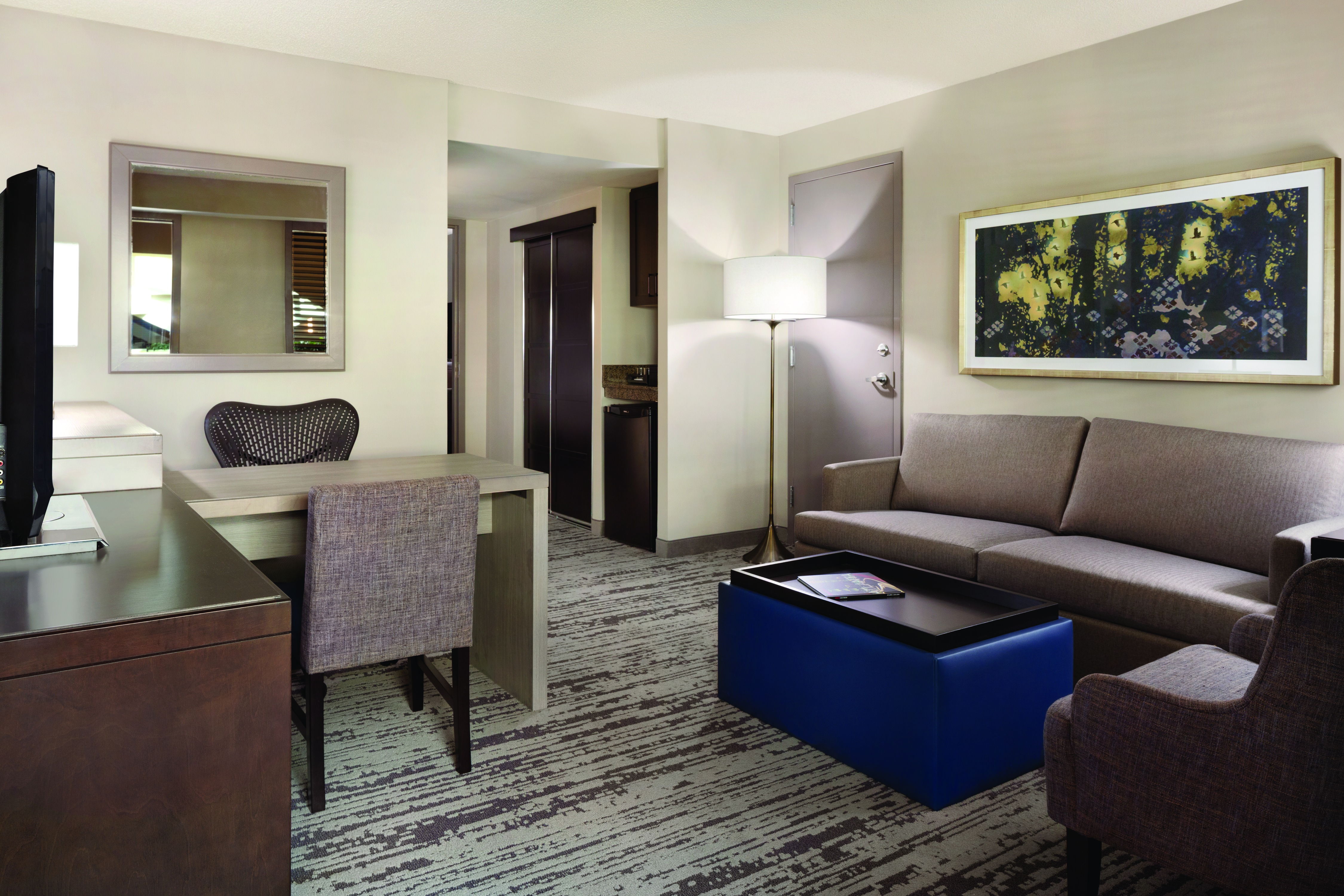 ELiving Area in a Suite  