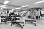 Fitness Center with Weight Benches, Dumbbell Rack and Weight Machine