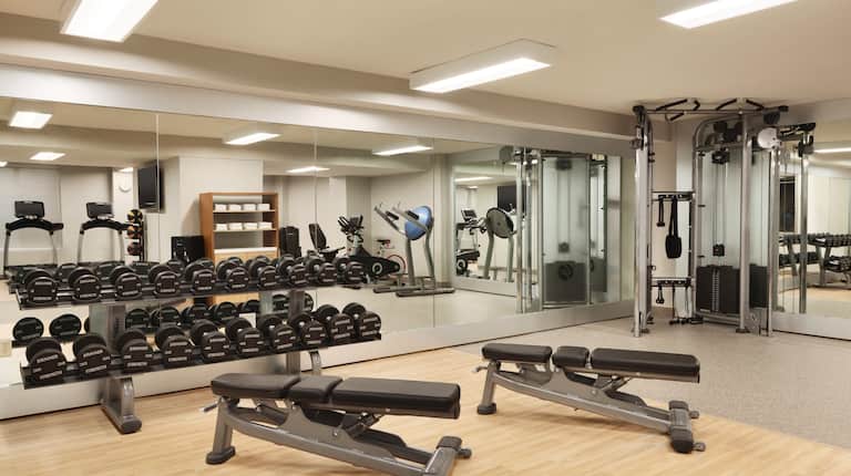 Fitness Center with Weight Benches, Dumbbell Rack and Weight Machine