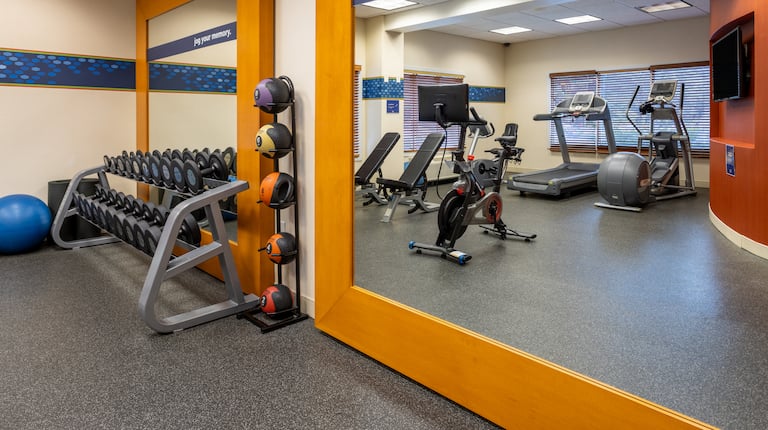 Our fitness center is perfect for a great workout, free weights, peloton bike, treadmill, elliptical