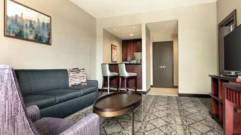 Accessible Suite Living Area Seats