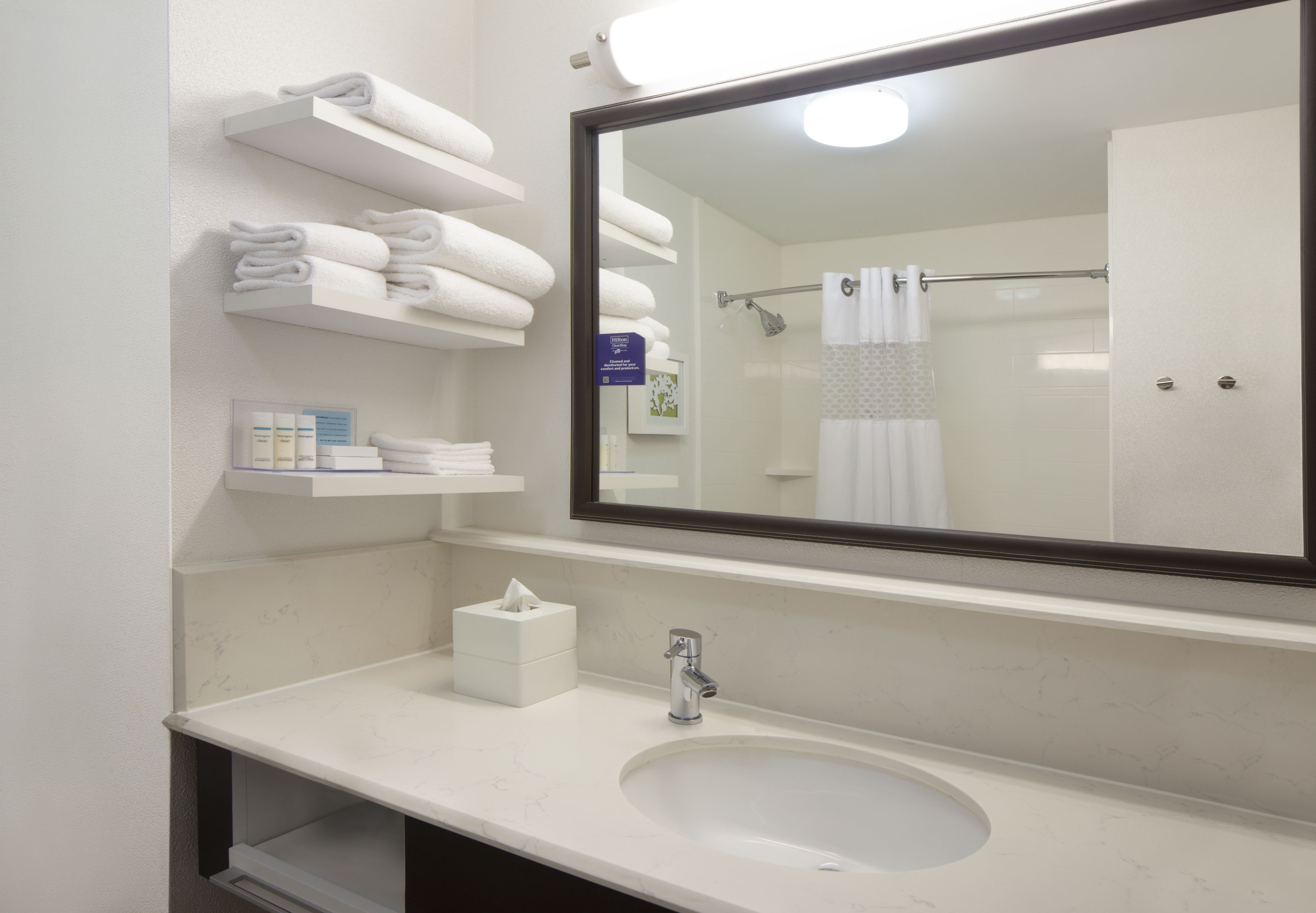 Bathroom Vanity Area with Large Mirror and Amenities in Guest Room