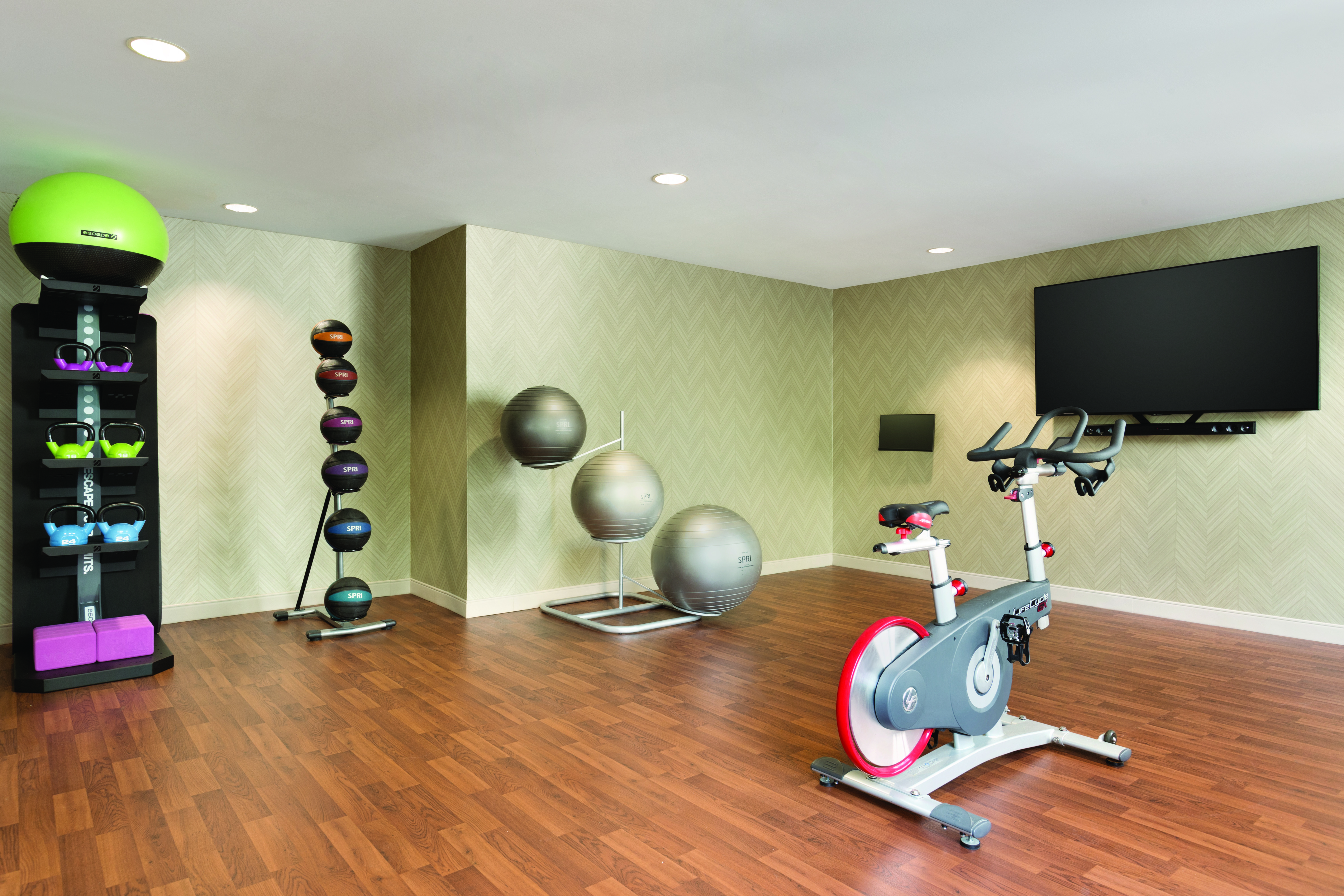 Wellbeats Room in the Fitness Center with Exercise Bike, Exercise Balls, Mats and TV 