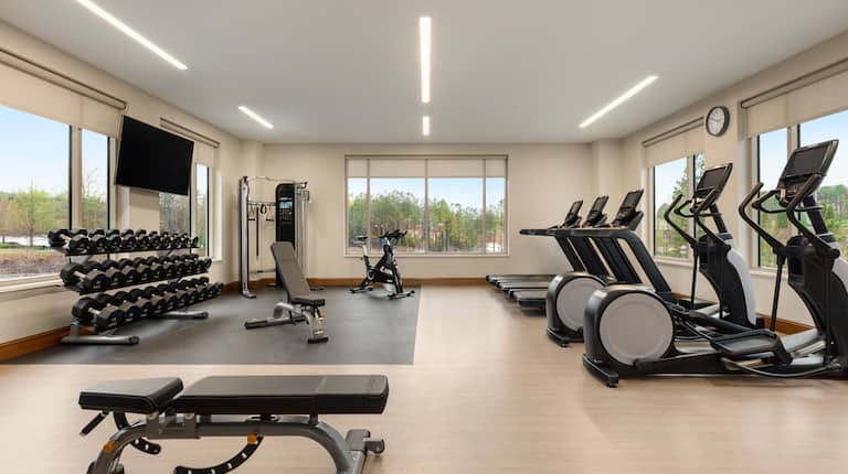 Fitness Center with Weights Treadmills and HDTV