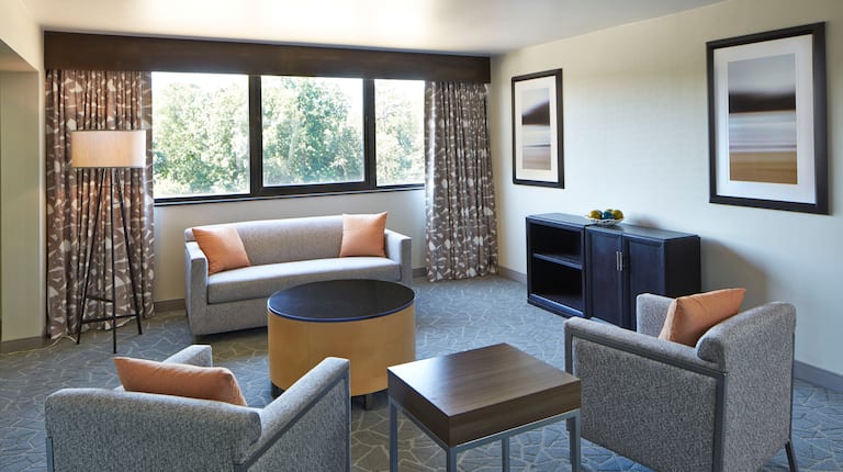 Guest Room Suite Lounge Area