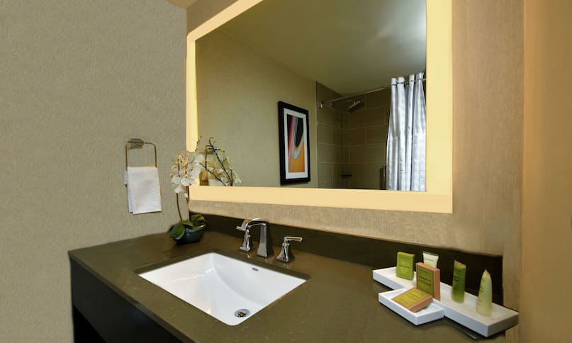 Hotel Guestroom Bathroom-previous-transition