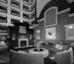 Lounge Seating Area with Sofas and Fireplace