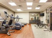 Spacious modern gym with cardio machines and free weights