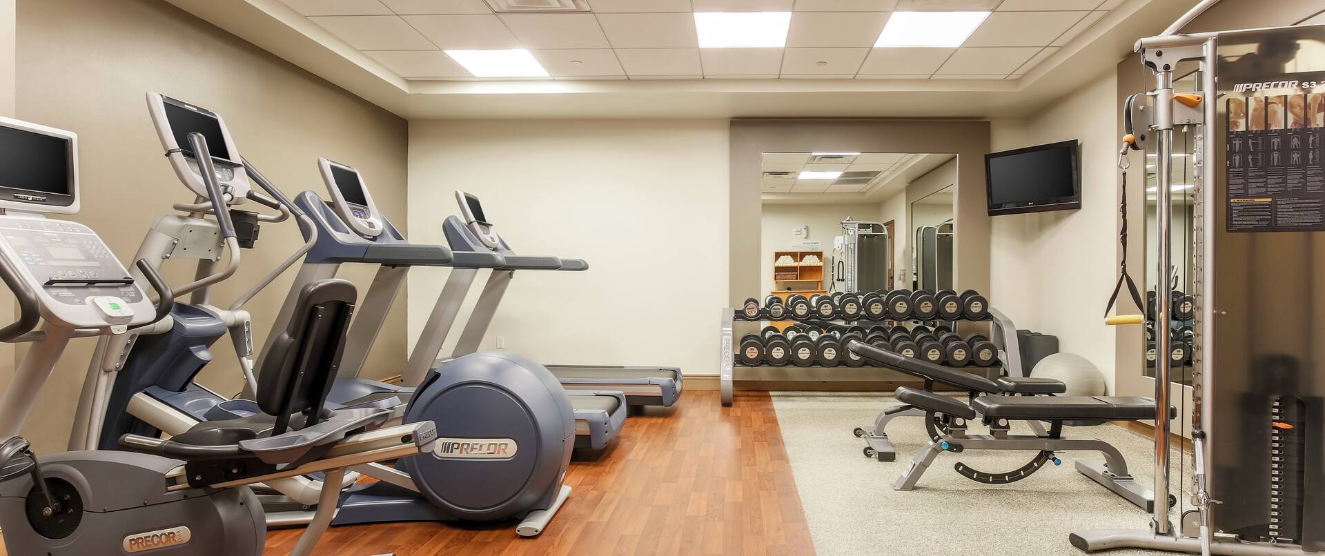 Spacious modern gym with cardio machines and free weights