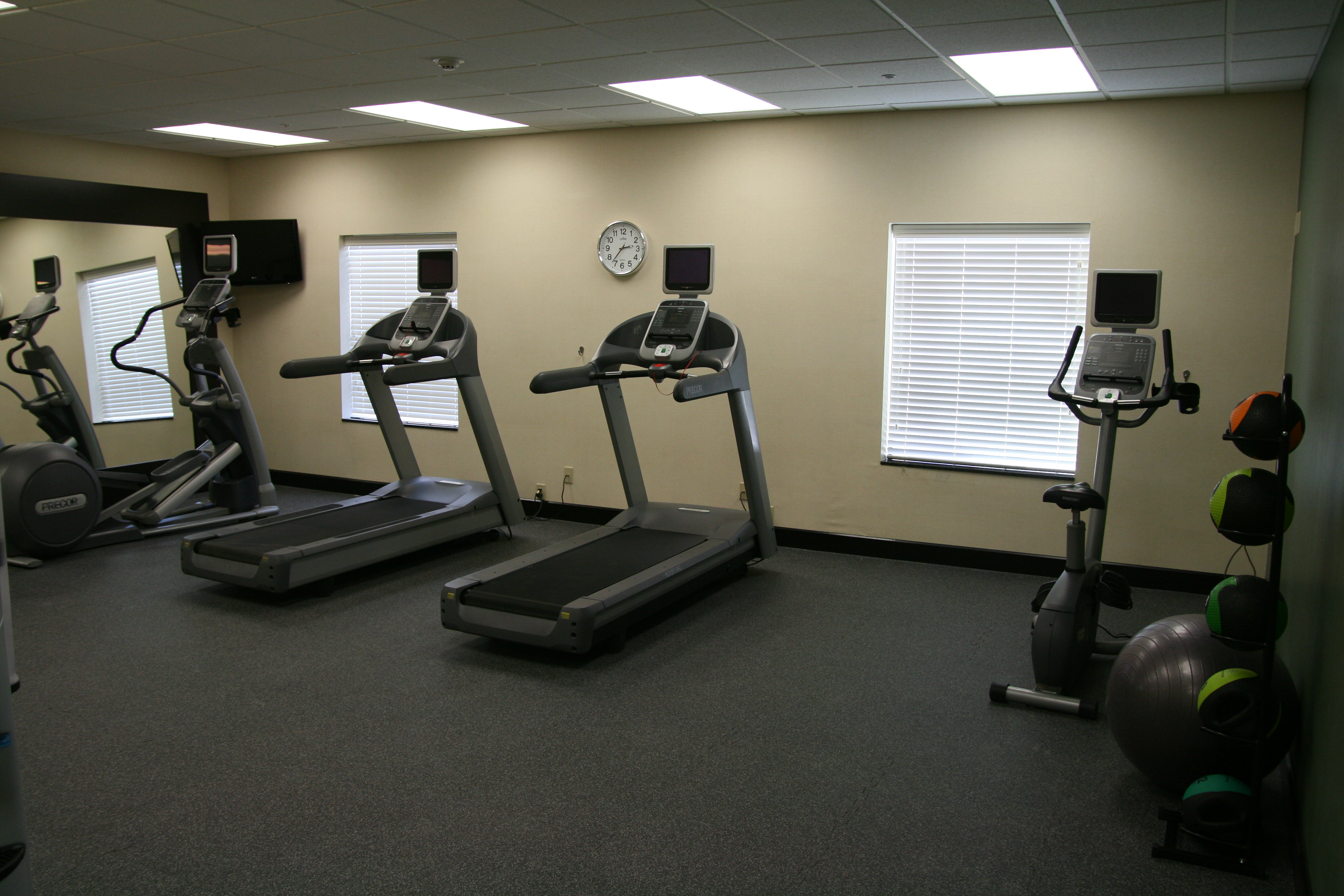 Fitness Room With Large Mirror, TV, Cardio Equipment Facing Windows, Wall Clock, Exercise and Weight Balls