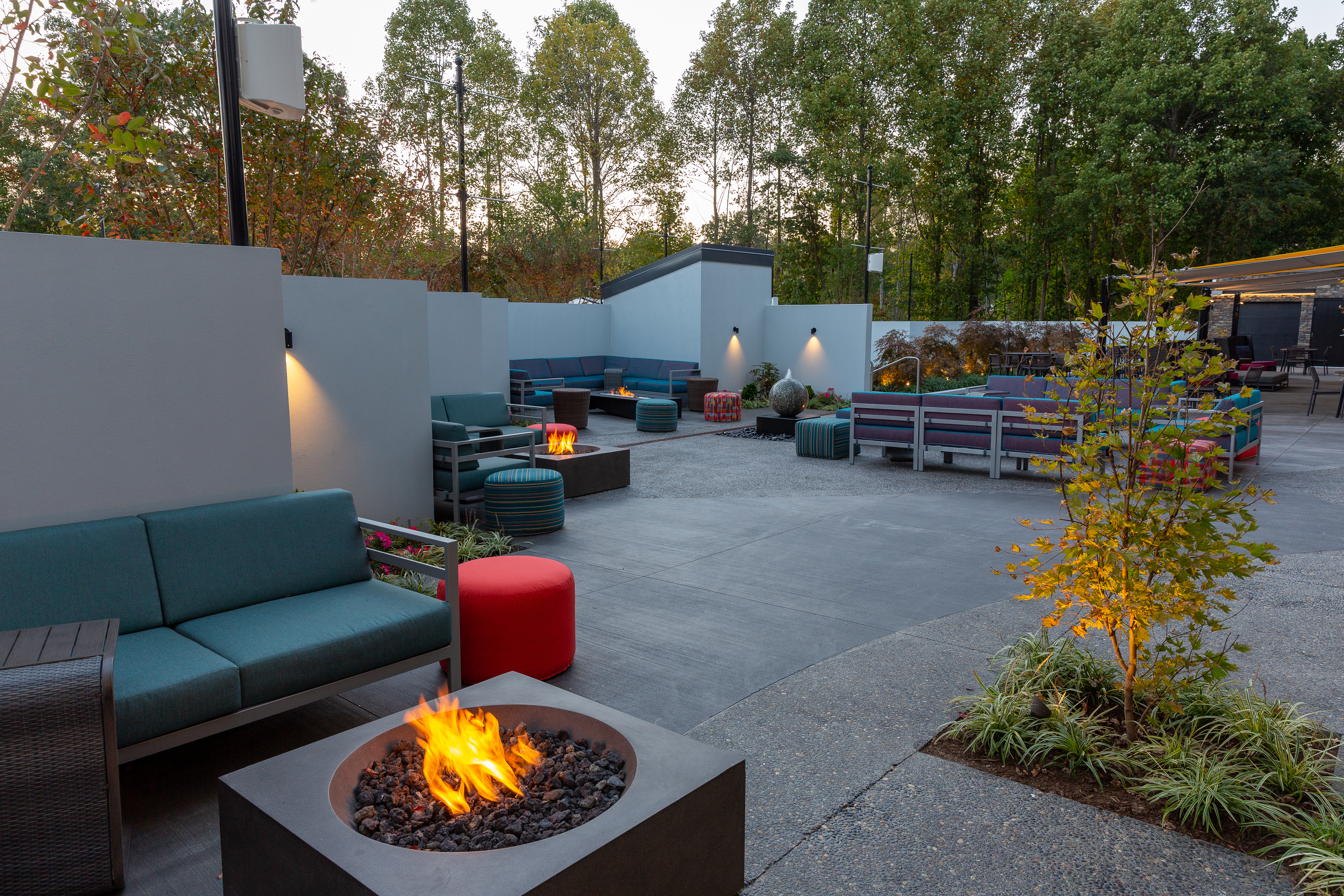couches outside with trees and fire pit 