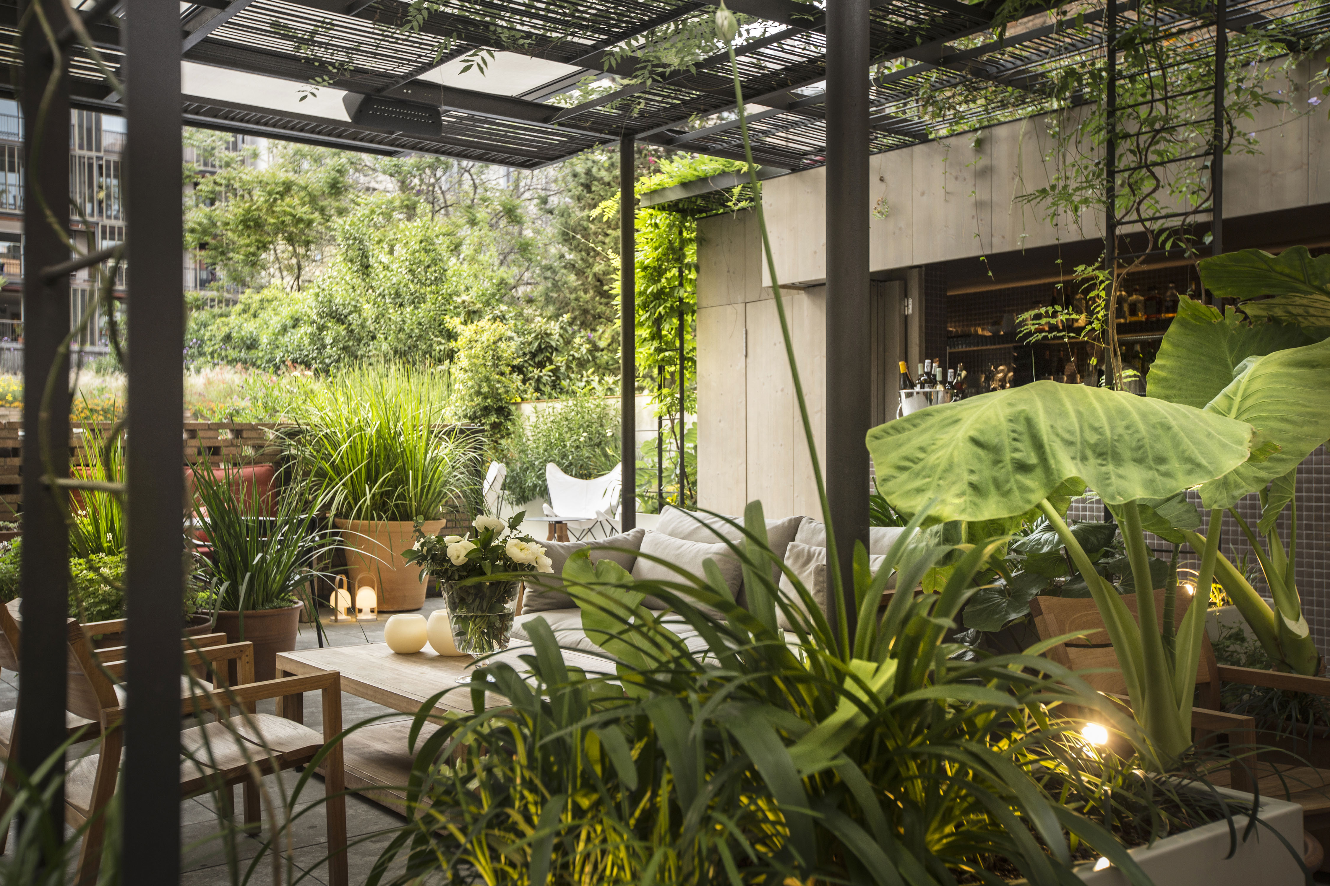 Outdoor Patio Terrace Area with Plants