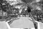 Daytime View of Tables With Sun Umbrellas and Loungers by Outdoor Pool Surrounded by Palm Trees