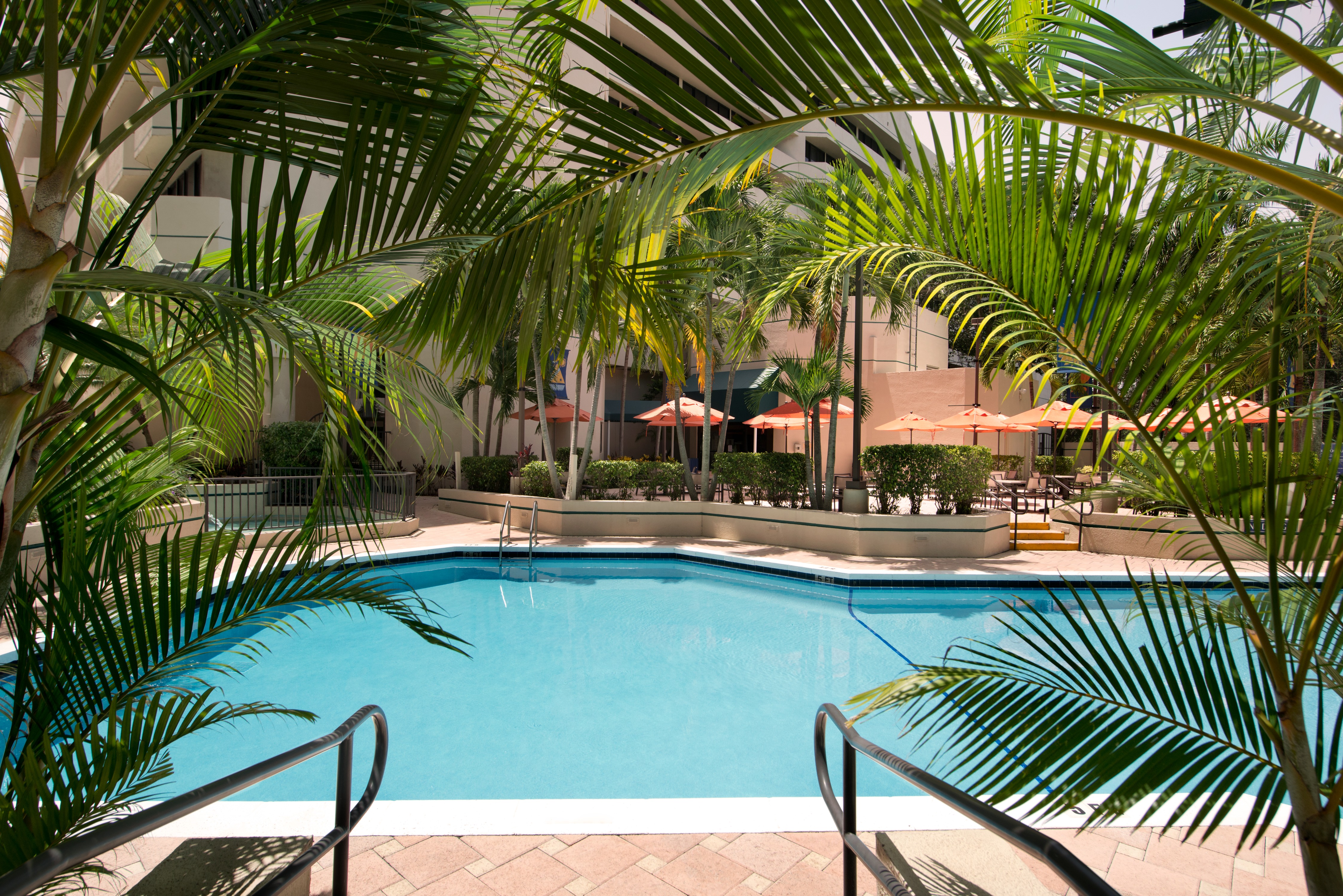 Daytime View of Outdoor Pool and Hotel Exterior Surrounded by Palm Trees