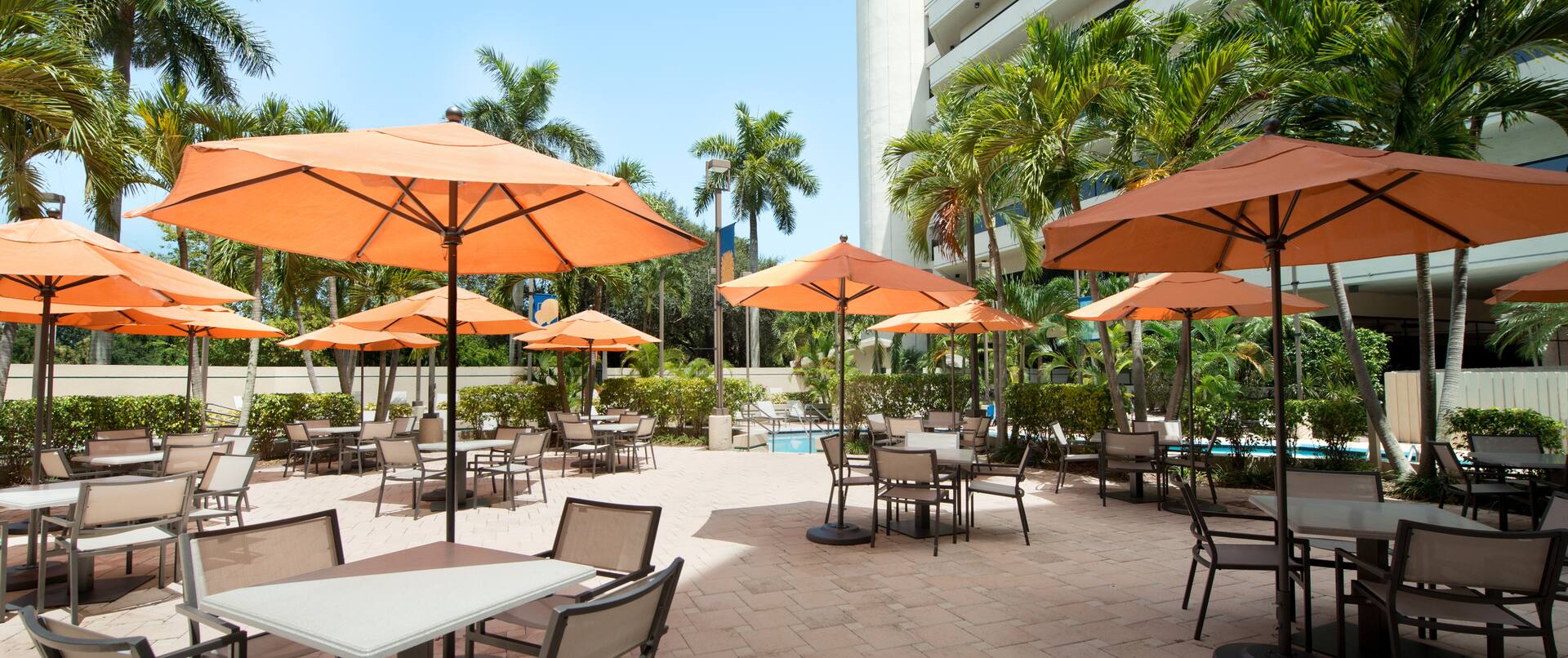 Daytime View of Tables With Orange Umbrellas and Chairs, Outdoor Pool, and Hotel Exterior Surrounded by Palm Trees