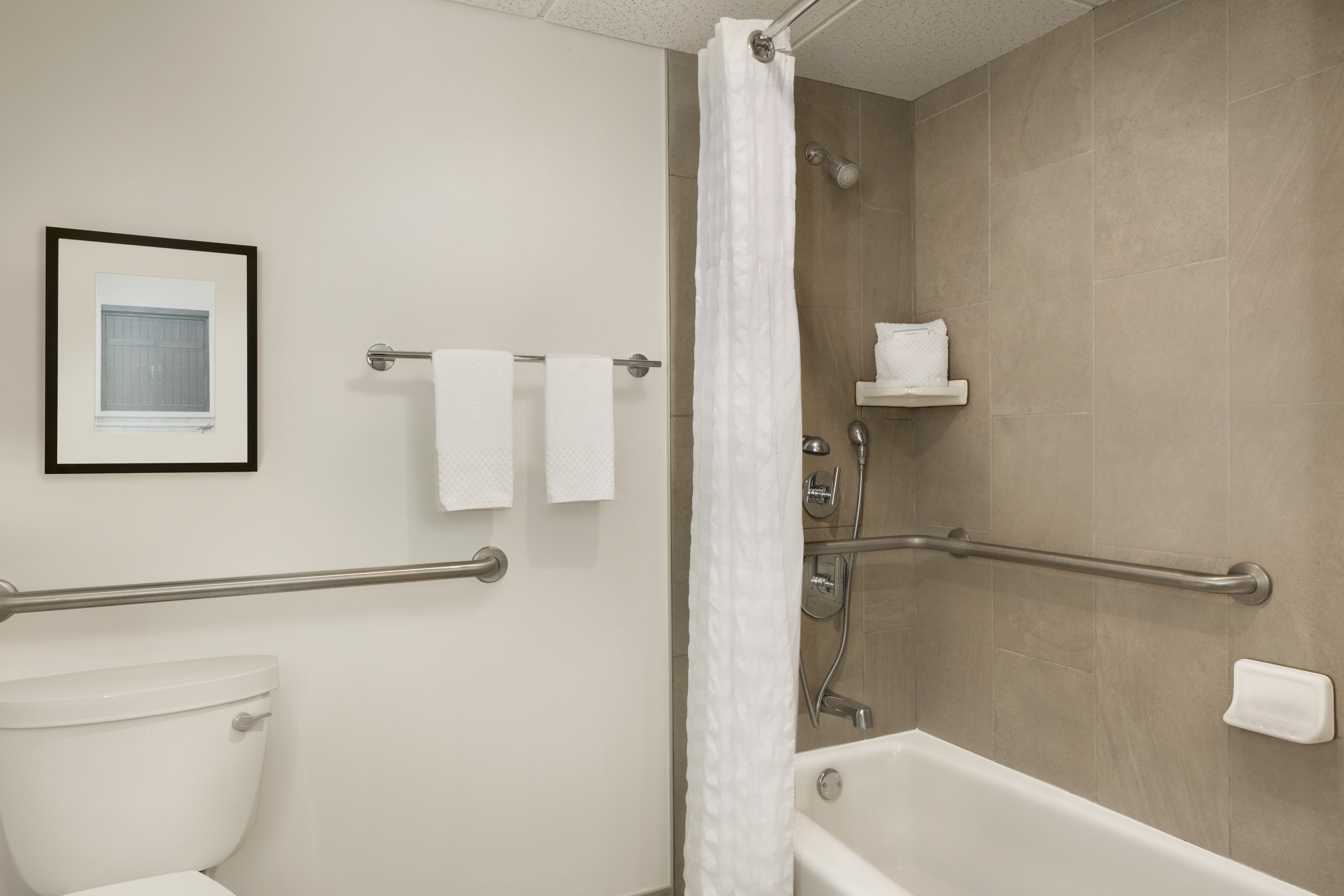 Wall Art Above Toilet With Grab Bars, Fresh Towels, Bathtub With Grab Bars and Handheld Showerhead in Accessible Bathroom