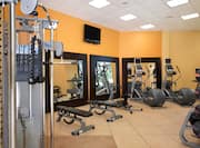 Fitness Center With TV, Weight Machine, Weight Benches, TV Above Three Large Mirrors, Cardio Equipment, and Weight Balls