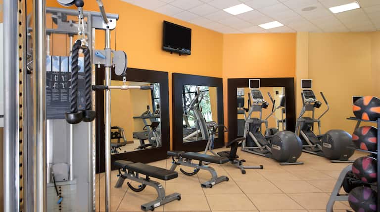 Fitness Center With TV, Weight Machine, Weight Benches, TV Above Three Large Mirrors, Cardio Equipment, and Weight Balls