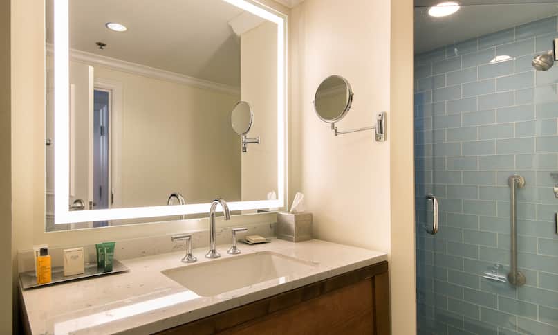 Accessible bathroom with roll-in shower, handrail, vanity mirror with sink and bathroom amenities-previous-transition