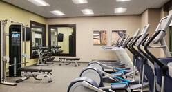 Fitness Center Cardio Equipment and Weight Machine