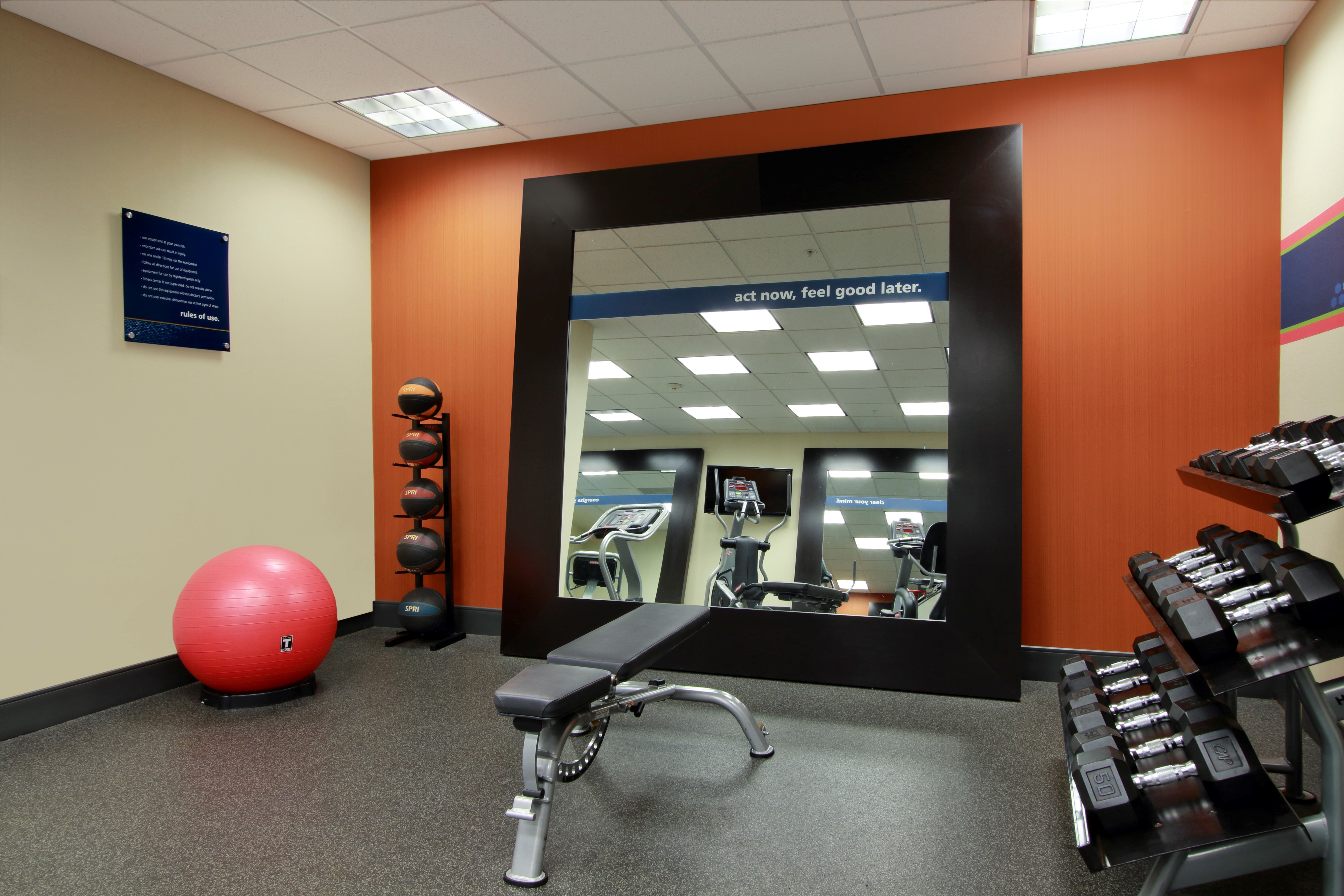 Fitness Center With Free Weights, Weight Bench, Red Stability Ball, Weight Balls, and Cardio Equipment Reflected in Large Mirror