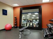 Fitness Center With Free Weights, Weight Bench, Red Stability Ball, Weight Balls, and Cardio Equipment Reflected in Large Mirror