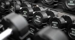 Gym Equipment - weights