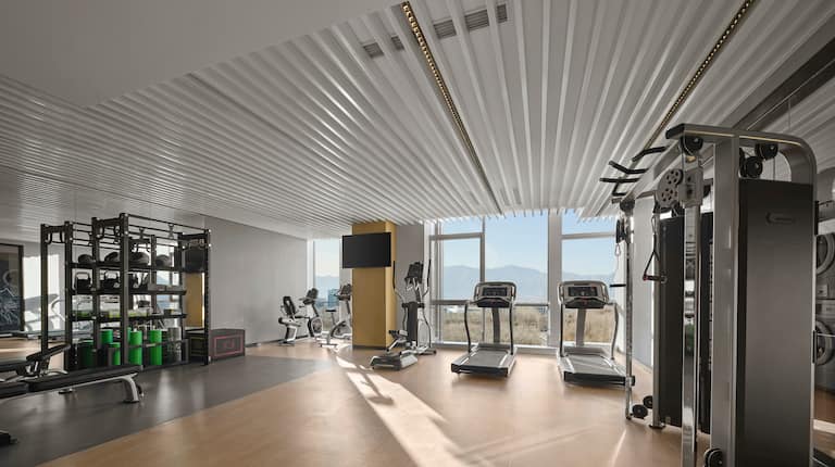 Gym with treadmills and weights machines