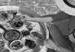 a Woman Dining in the Pool with Food Selections on a Floating Basket