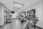 Cardio exercise machines in gym