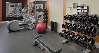 Fitness Center with Weight Bench, Dumbbell Rack, Cross-Trainer and Treadmills