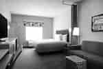 1 King Bed Studio Suite