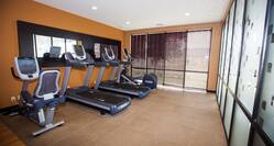 Cardio Equipment in Fitness Center With Large Windows