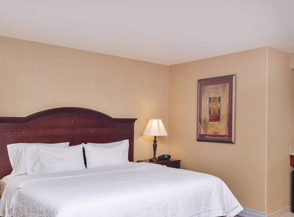Hampton Inn and Suites Boise-meridian - Image3