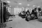 Fitness center with cardio machines and bench