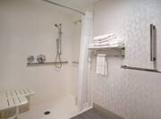 roll-in shower in accessible bathroom