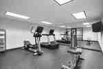 Modern fitness center featuring cardio and weight equipment