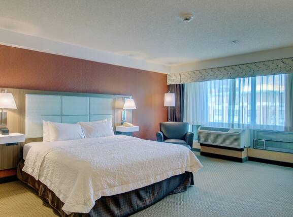 Hampton Inn and Suites Boston Crosstown Center - Image3