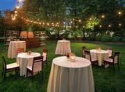 Outdoor Lawn Event