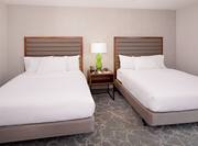 Queen Bed Suite 