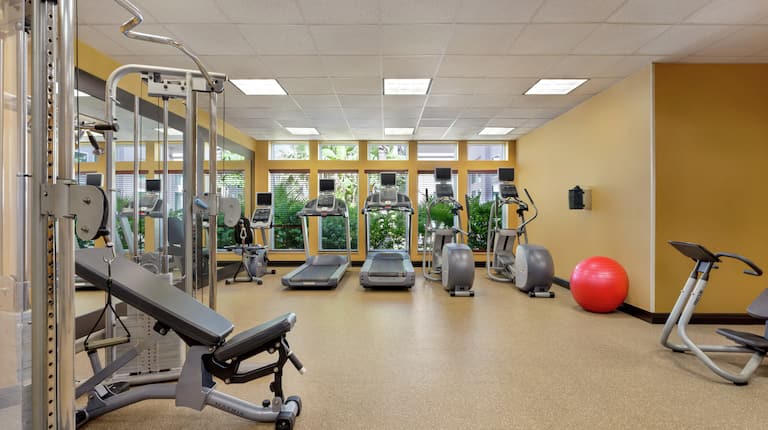 Conveniente gimnasio en el hotel con equipos cardiovasculares y pesas.