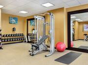 Convenient on-site fitness center featuring machines and free-weights.