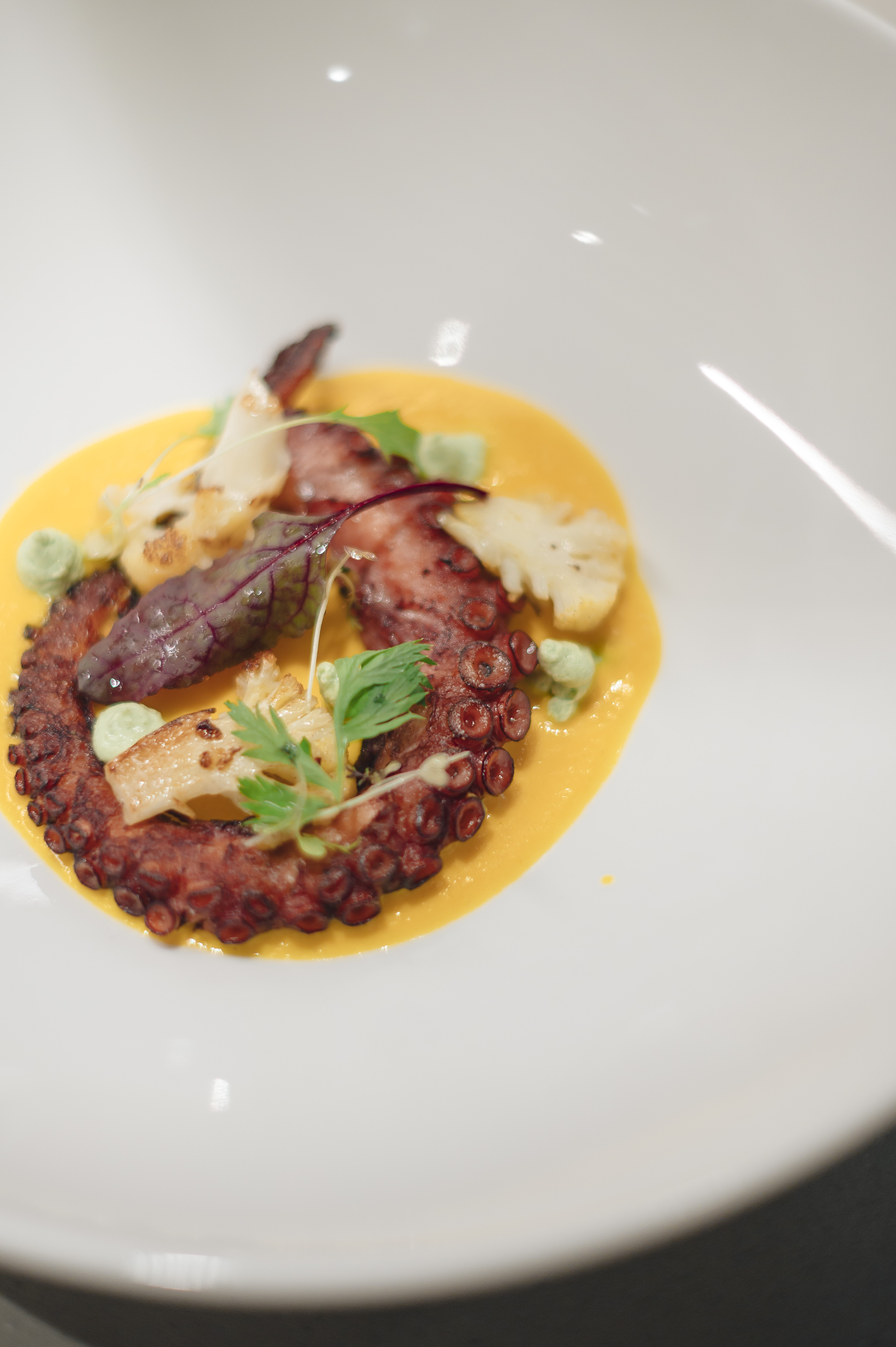 Plato Octopus en el restaurante Leonforte